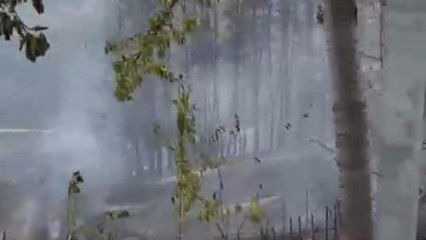 Video de Guardia Civil del desalojo de Berlanga