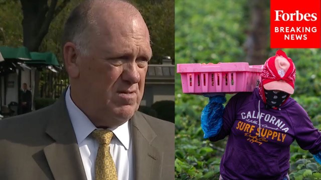Tom Homan Asked About 'Compromise' Between Enforcing Immigration Policy And Protecting Farm Labor