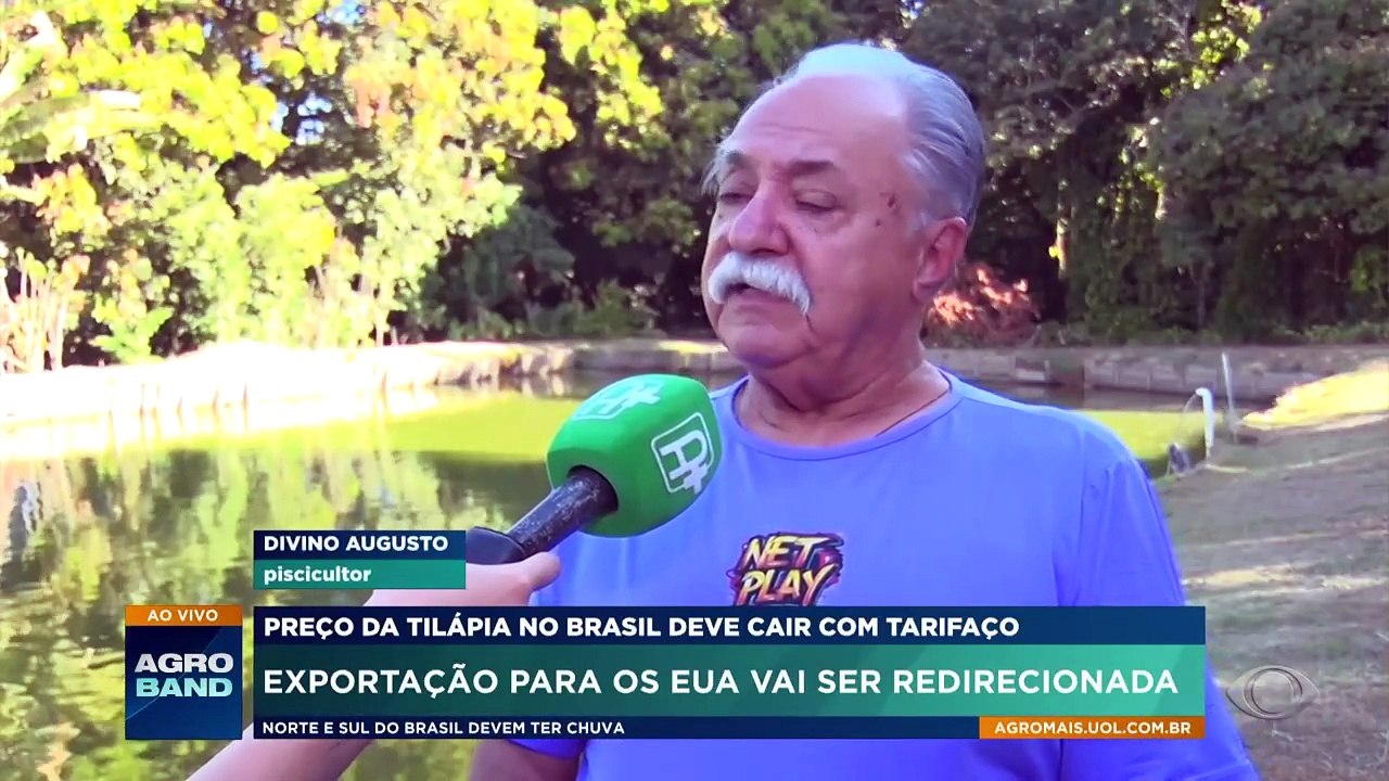 Preço da tilápia no Brasil deve cair com tarifaço