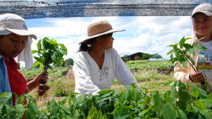 Cambio Climático Con Rostro De Mujer: Una Crisis Ambiental Y De Justicia De Género