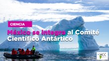 México se integra al Comité Científico Antártico