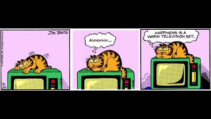 (Partially found) Garfield from 19.6.1978 to 11.11.1978