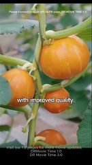 When My Love Ran Out