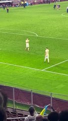 Despedida Sudakov: Final Farewell