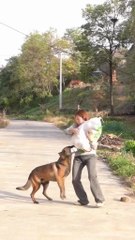 The dog likes to help others 😍