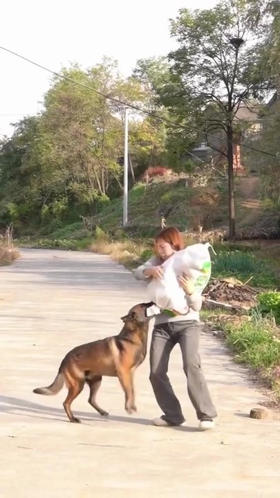 The dog likes to help others 😍