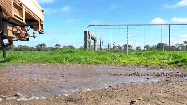 Winter rain across rural Victoria brings green pastures after two years of drought