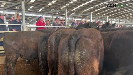 Naracoorte store sale - August 2025