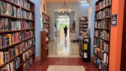 Mérida English Library, un rincón cultural para practicar inglés y conectar comunidades