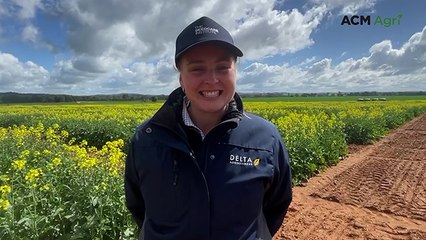 Coonamble agronomist shares insights from Syngenta Seedcare training