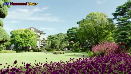 Yong-pal EP.17 Hindi Dubbed