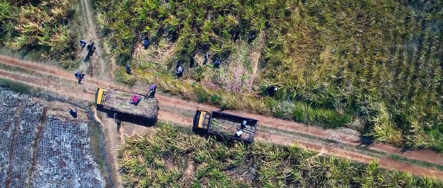 Pabrik Gula (2025) - Part01