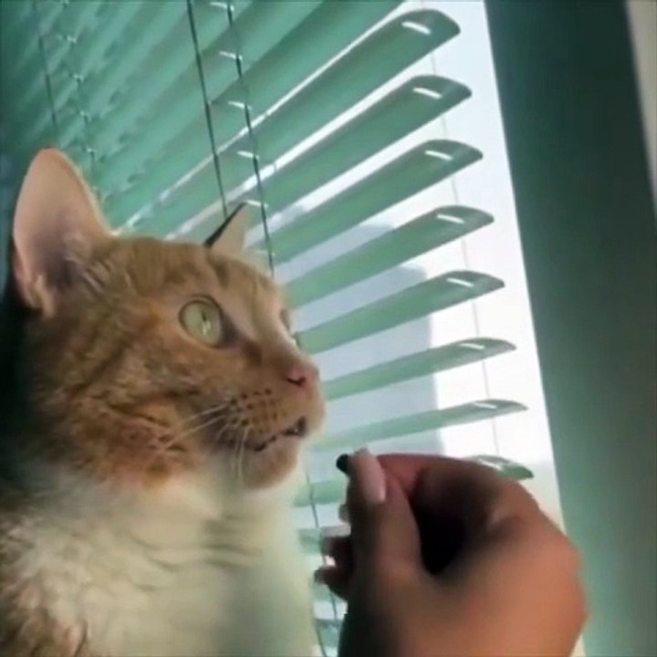 Bird watching…😅