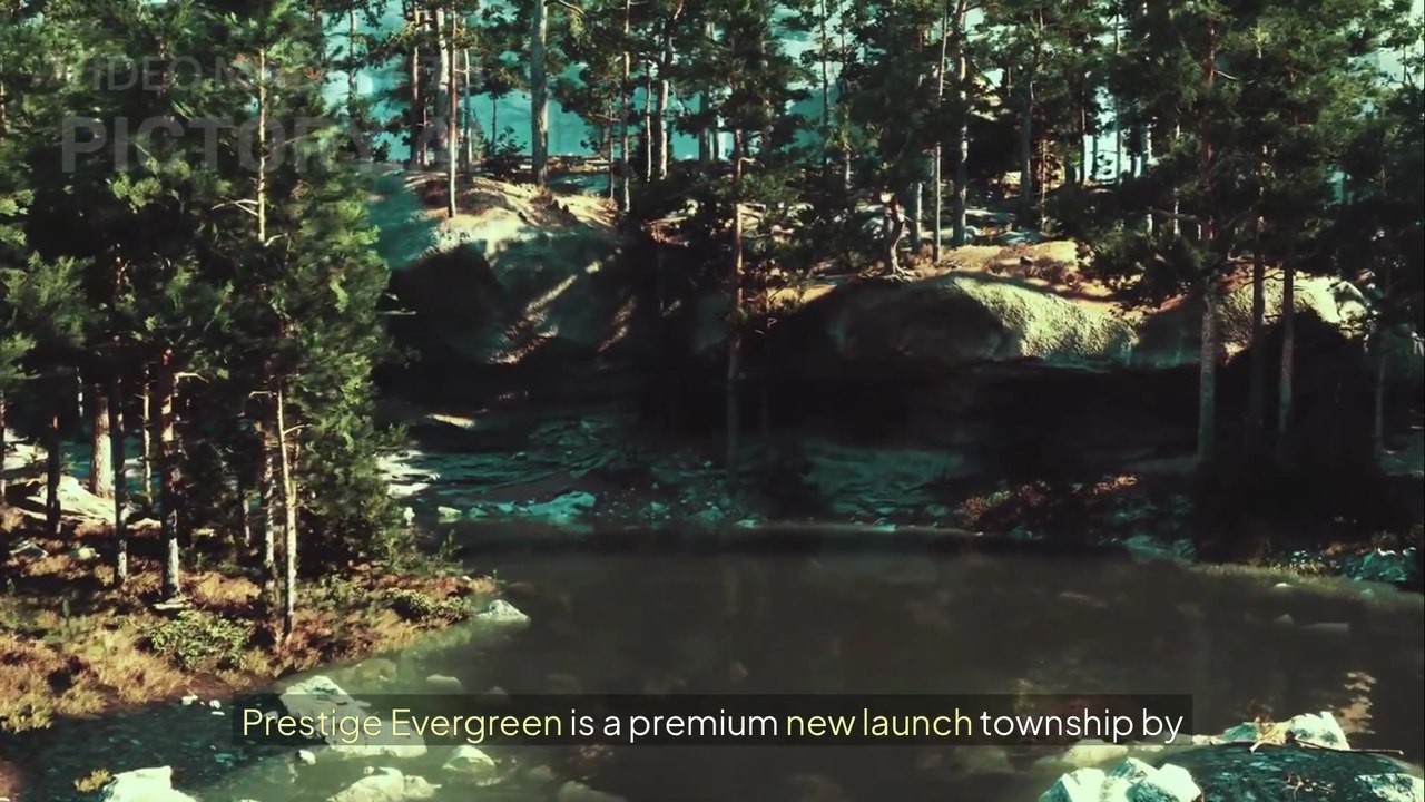 prestigeevergreen