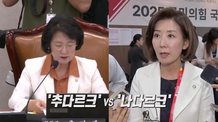 이제 법사위가 최대 격전지? '추다르크' VS '나다르크' [앵커리포트] / YTN
