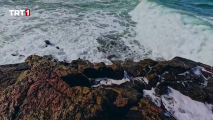 Taşacak bu deniz - İlk tanıtım