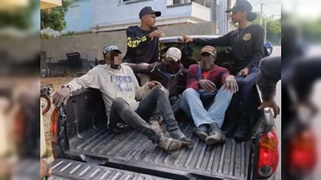 Detienen 876 haitianos indocumentados en operativos de Migración