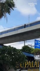 Neon flowers waiting for love cap 1