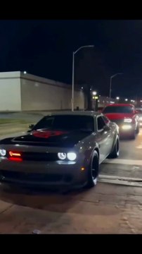 Supercar car Author Marked Original >What should I pay attention to when raising a cat like this? #American Large Translate V8#Docket Hellcat#American Muscle Car American Muscle Car #Hellcat#Muscle Car #Docket Hellcat