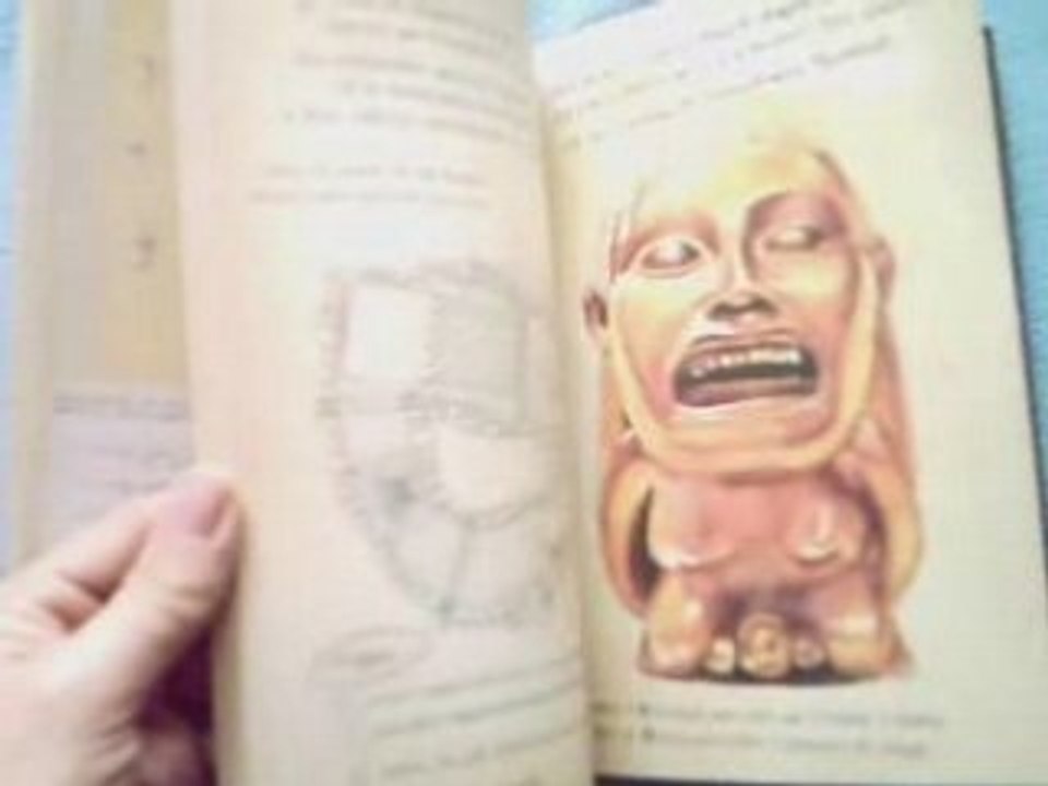 Le journal
