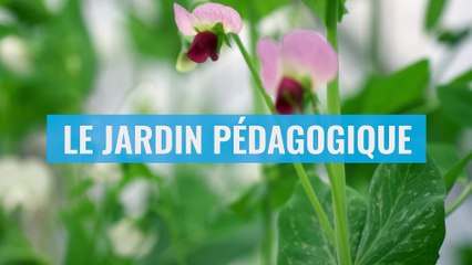 Jardin pédagogique à Brest