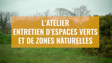 Entretien de zones naturelles et d'espaces verts à Brest
