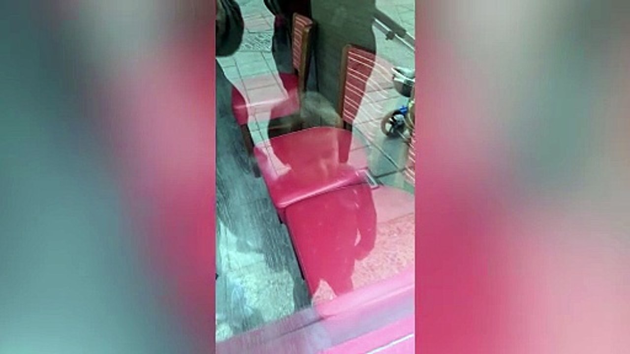 Giant rat breaks into Pepe's Piri Piri restaura...