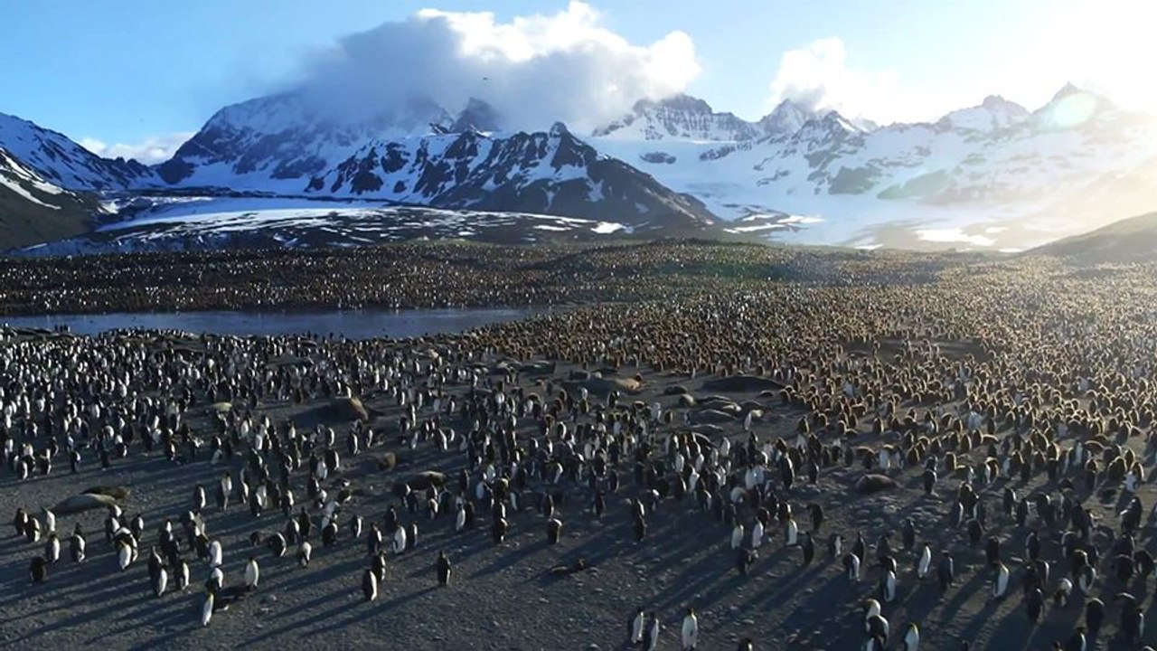 Nature, pour une réconciliation Trailer OmeU