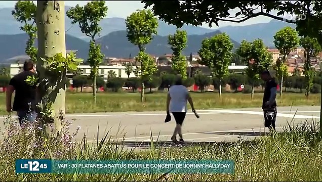 Johnny Hallyday – Fréjus 2016 : 30 arbres abattus pour son concert | Reportage M6
