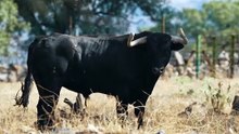 el retamar arganda