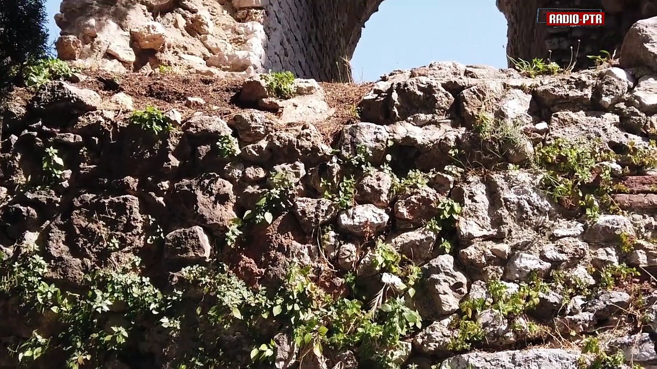 Radio PTR Feat Conny Winter & Frank Freiwald - Wiener Blut Traum