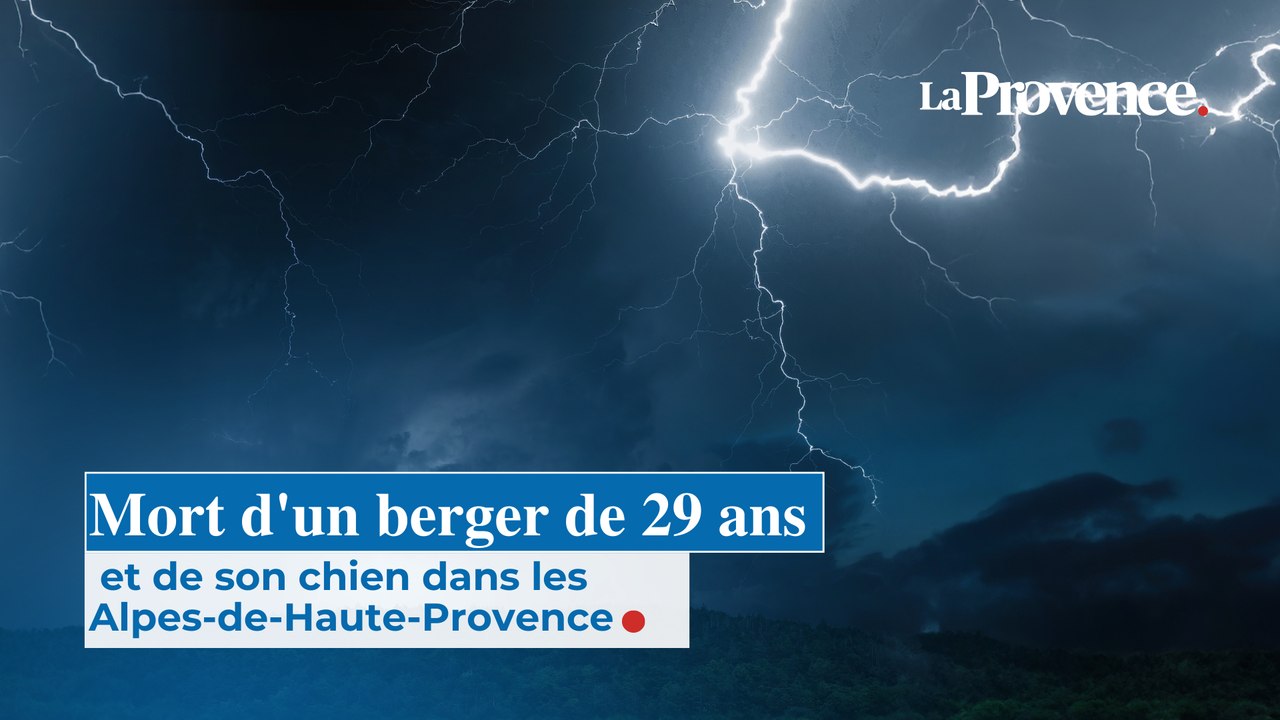 Mort d'un berger de 29 ans et de son chien dans les  Alpes-de-Haute-Provence