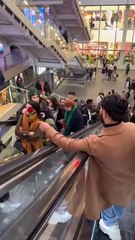 The Heartbreaking Silence of a Beautiful Rose 🌹