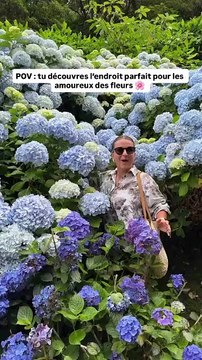 🌸 Madère, joyau portugais posé sur l’Atlantique, est un véritable plaisir floral