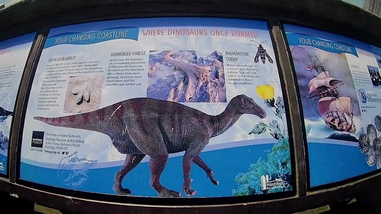 Come along and take a walk with me....... West St Leonard's on Sea, East Sussex