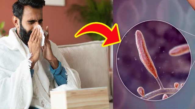 Hay Fever Causes: हे फीवर क्या है,Symptoms & Treatment In Hindi | Boldsky