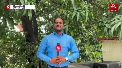 सिंगरौली कैसे बना देश की जरूरत? जानिए- काले पानी से लेकर काले हीरे तक के सफर की पूरी कहानी