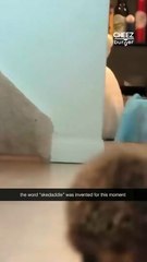 It doesn’t get much cuter than this! (Credit: Amy B) #adorableanimals #hedgehoglife #cutehedgehog