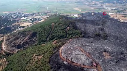 Bursa’nın ciğerleri yeşilden griye döndü