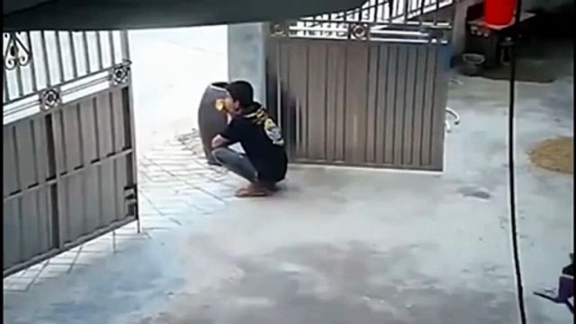 Son chien lui apporte une chaise... trop mignon