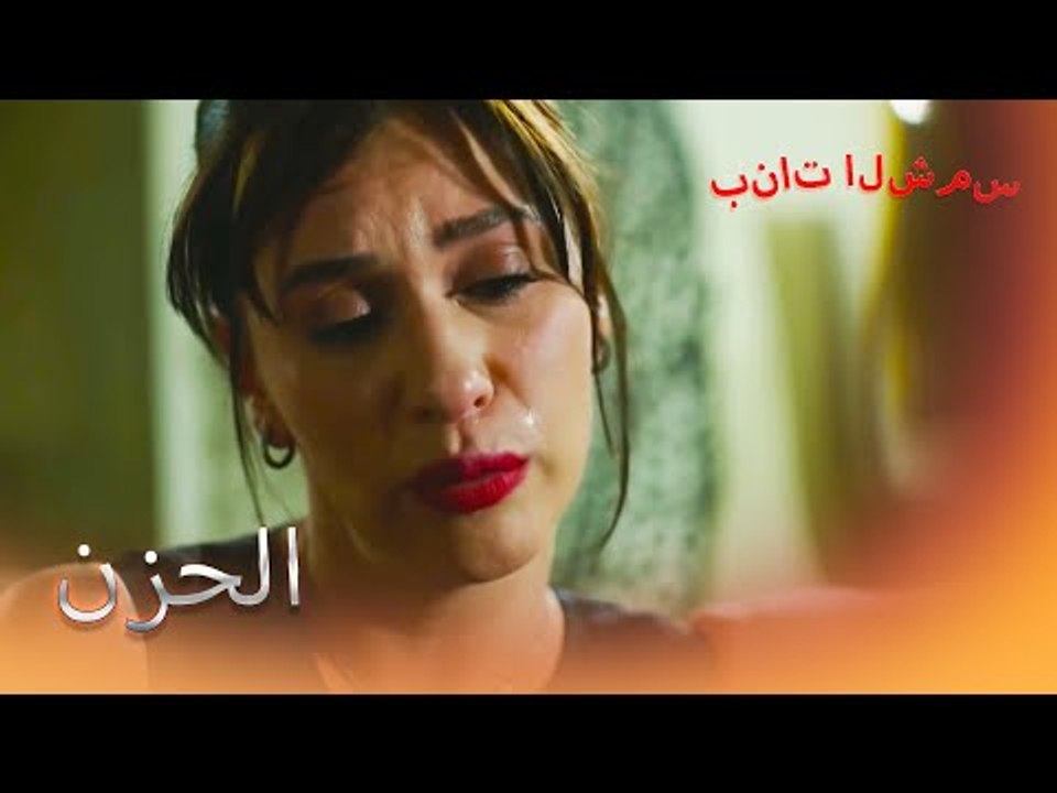 قلب الشمس مكسور بنات الشمس الجزء 1