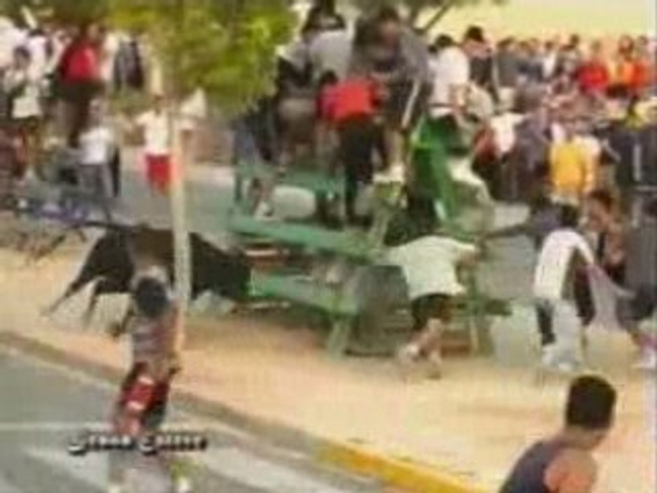 Videos - toros - bous al carrer_sustos y cogidas