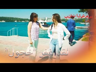 لقد غفرت الشمس "الخجول" بنات الشمس الجزء 3