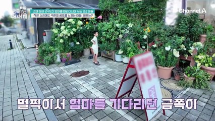 용기내서 태권도장까지 갔는데... 아이들 기합소리에 겁을 먹은 초2 아들?! 불안이 지속되는 이유는 뭘까?