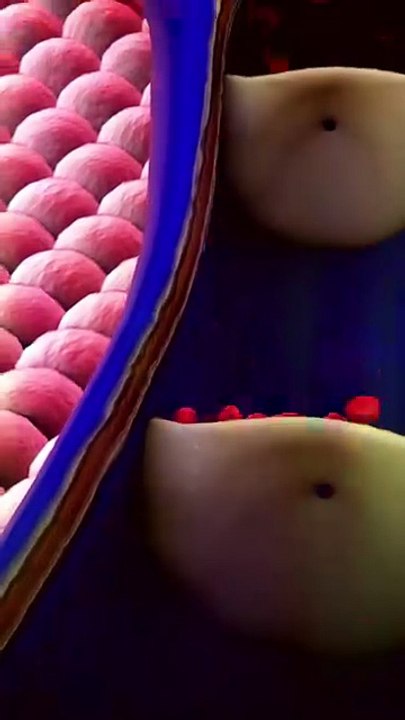 Expert Care for Healthy Legs: Find Your Trusted Varicose Veins Specialist