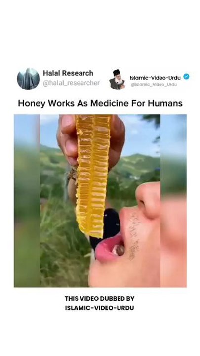 Honey Work as Medicine for Human