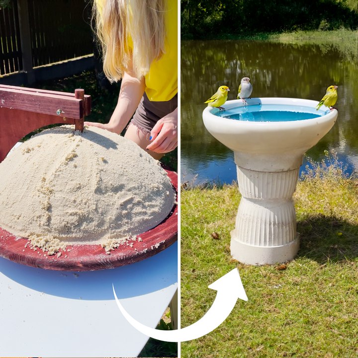 Your garden can become a bird oasis by building easy DIY bird bath! 🦜 #backyard  #animalfriendly #fyp #craft #greenlife