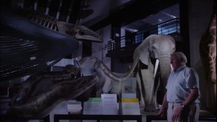 Natural History Museum Alive 2014-Gigantophis giant snake