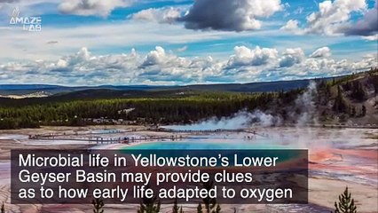 How We Can Understand How the First Breath on Earth Came to Be By Looking at Yellowstone