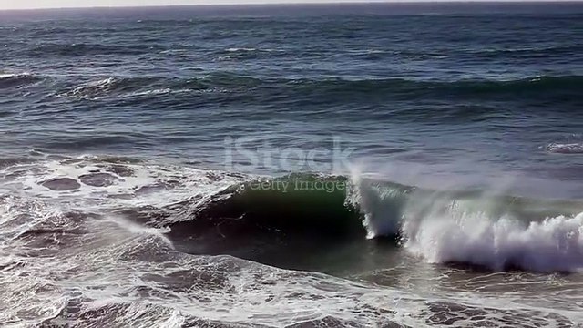 Prestige Raintree Park Commercial includes shopping malls and IT parks spread along a 25-acre estate.